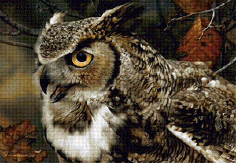 Ночной страж леса. - осень, лес, сова, филин - предпросмотр