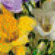 Предпросмотр схемы вышивки «Фрезии Анны Коттеррил» (№1118802)