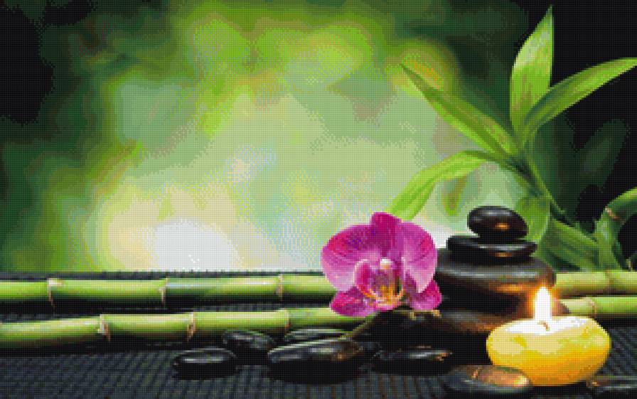 орхидея - свеча, камни, орхидея, бамбук, цветы - предпросмотр