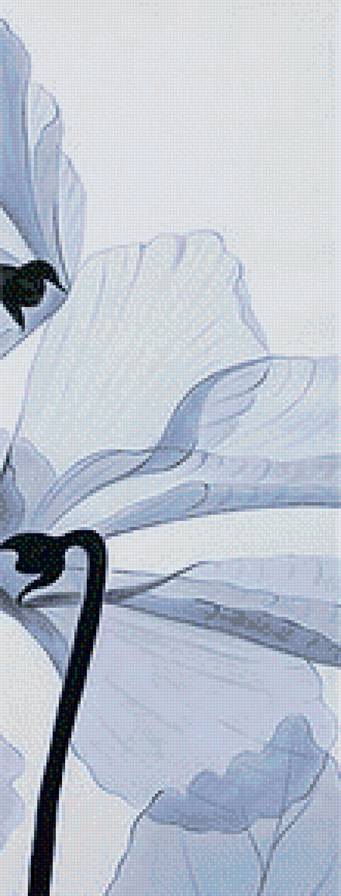 белые цветы3 - предпросмотр