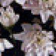 Предпросмотр схемы вышивки «розовая хризантема» (№1119370)