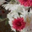 Предпросмотр схемы вышивки «розовая хризантема» (№1119372)