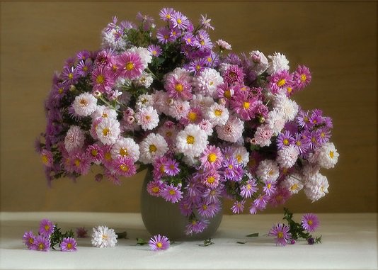 шикарные хризантемы - хризантема, натюрморт, цветы - оригинал