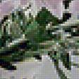 Предпросмотр схемы вышивки «нежность хризантем» (№1119383)