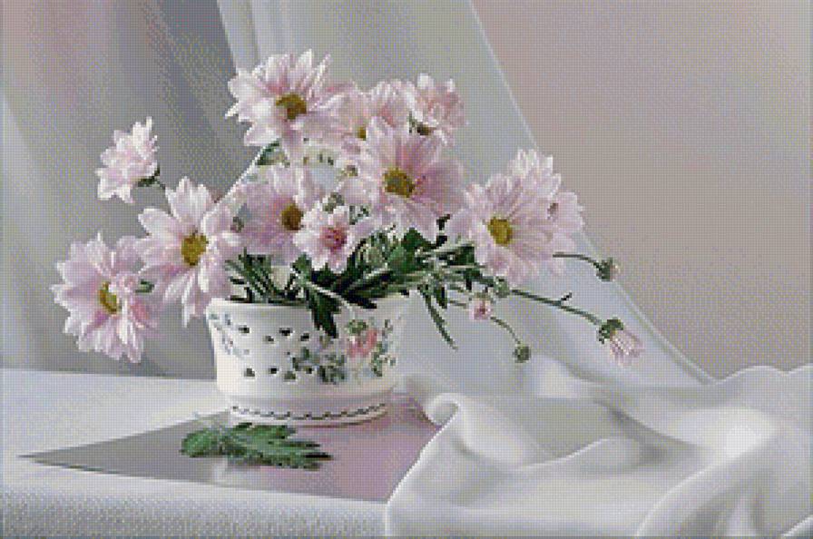 нежность хризантем - цветы, хризантема, натюрморт - предпросмотр