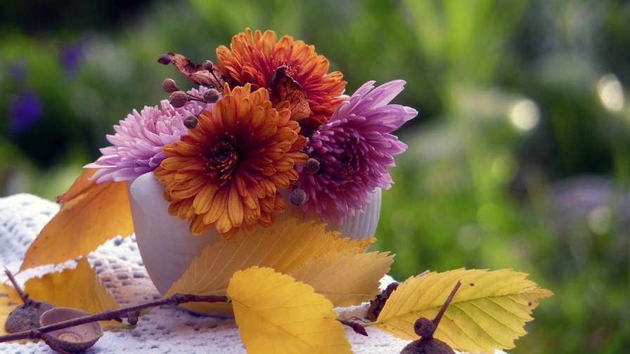 хризантемы и осень - натюрморт, хризантема, цветы - оригинал