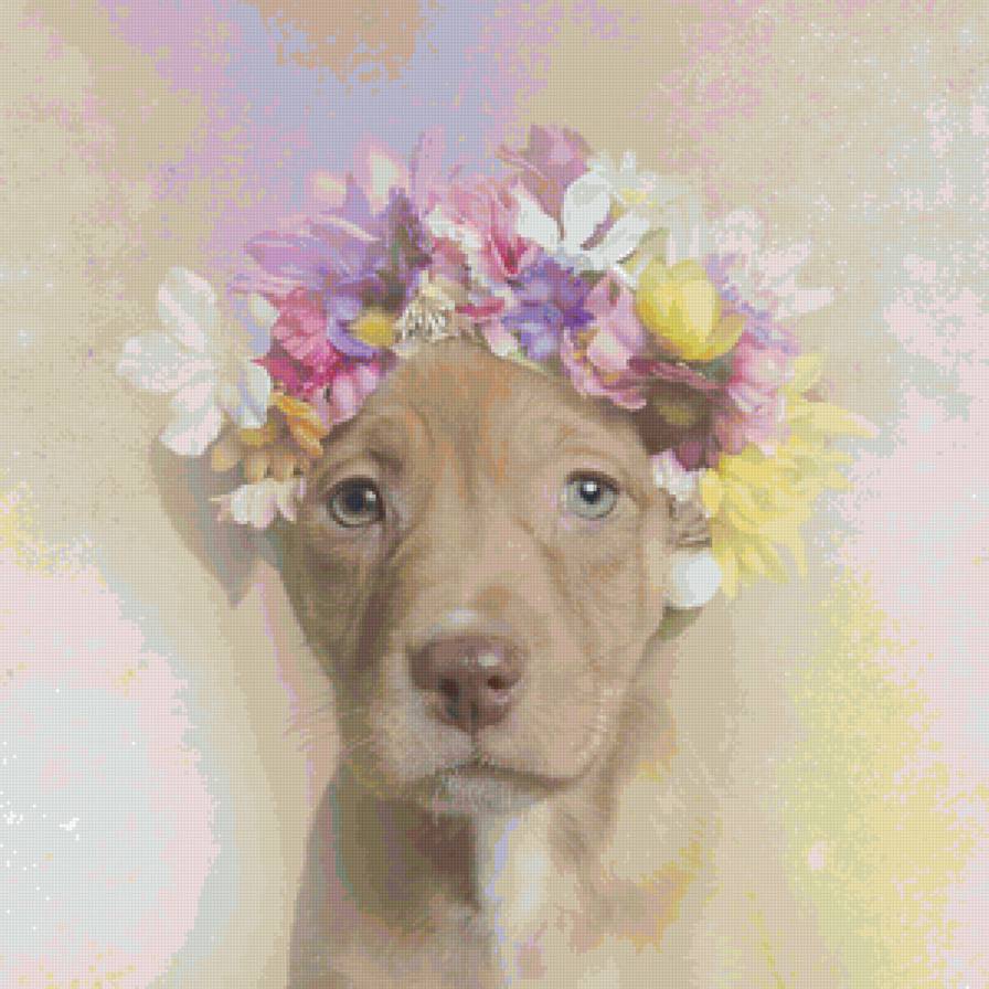собака - животные, цветы, собака - предпросмотр