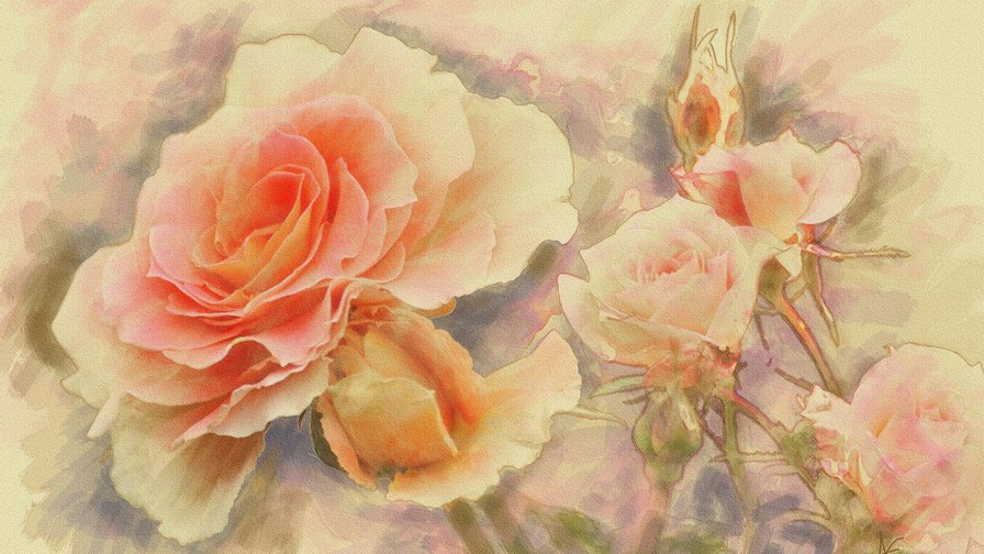 роза - акварель - оригинал