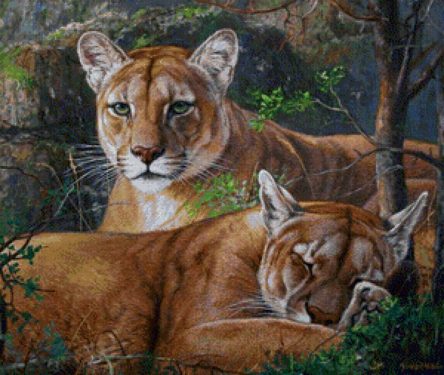 мир животных - предпросмотр