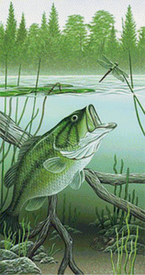 В подарок рыбаку - рыбка - предпросмотр