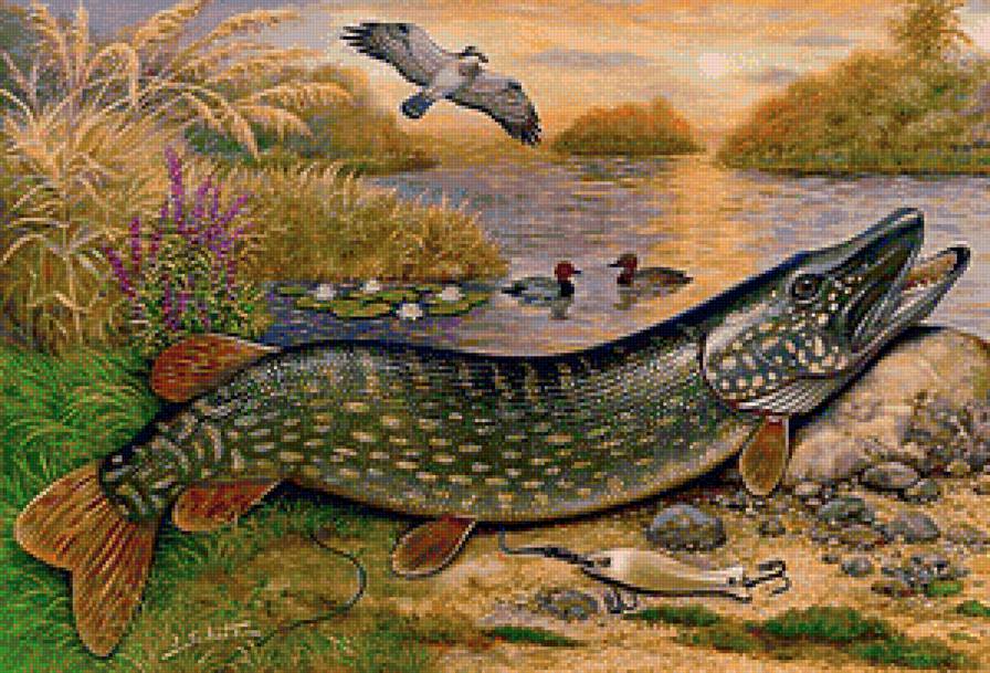 В подарок рыбаку - вода, пейзаж, природа, рыбка, щука - предпросмотр