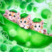 Схема вышивки «Катятки.»