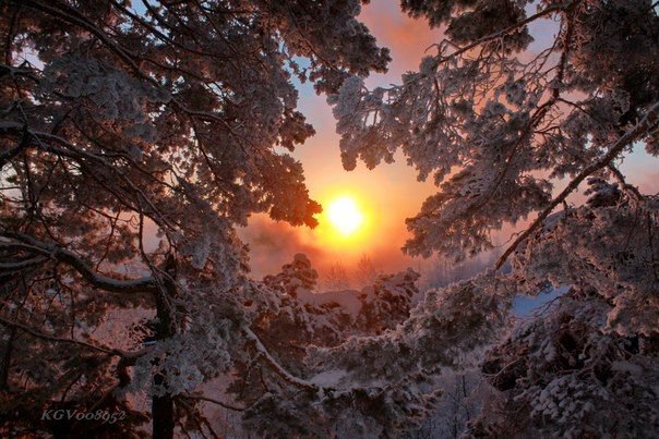 Зима - пейзаж, лес, зима, солнце, природа - оригинал