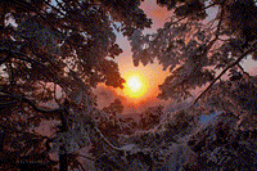 Зима - природа, пейзаж, лес, зима, солнце - предпросмотр