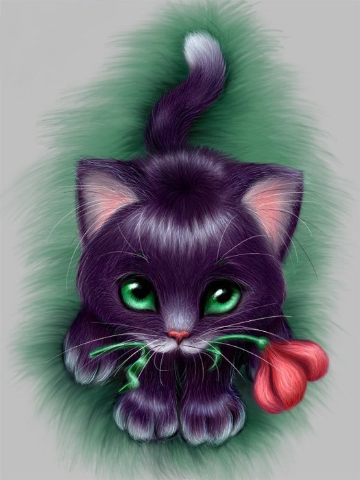 киска - кошка, животные, цветок - оригинал