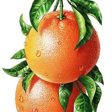 Оригинал схемы вышивки «Апельсины» (№1121787)