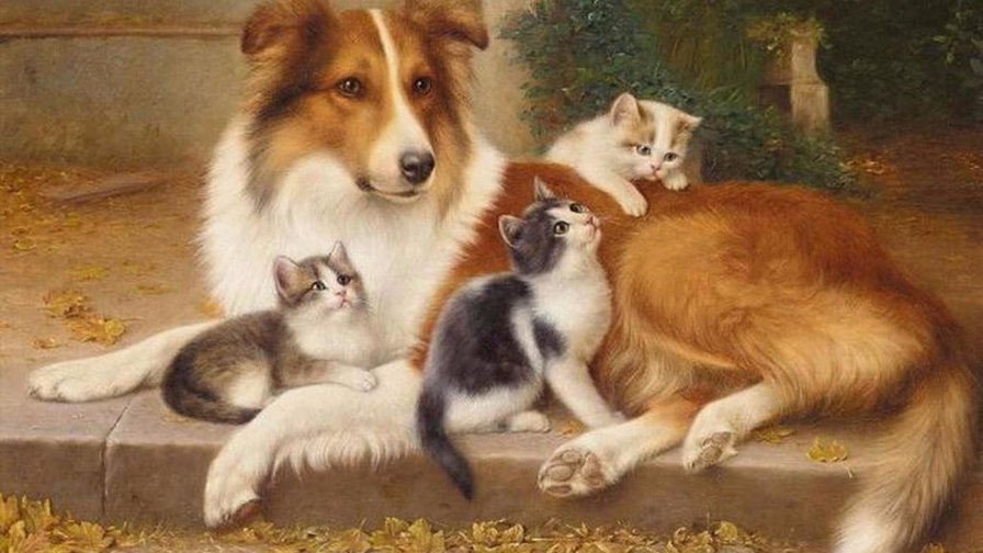 друзья - собака, кошки, животные - оригинал