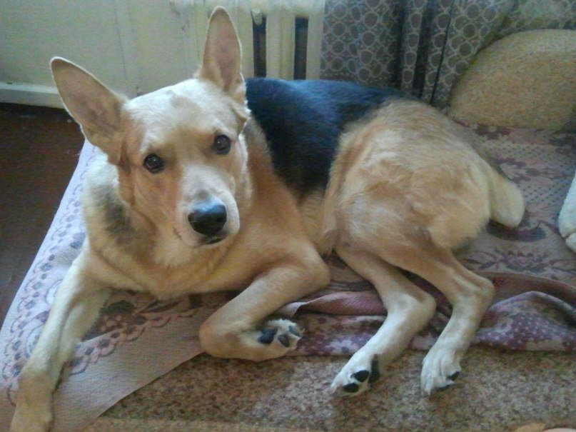 169 - оригинал