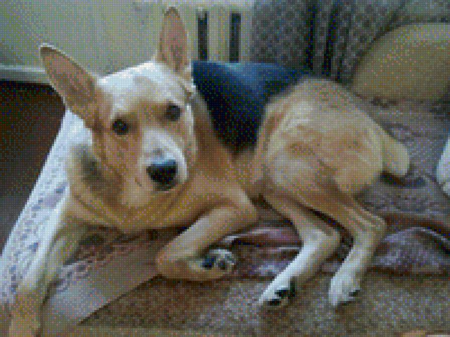 169 - предпросмотр