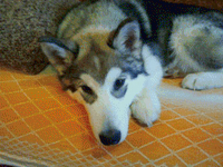 172 - предпросмотр