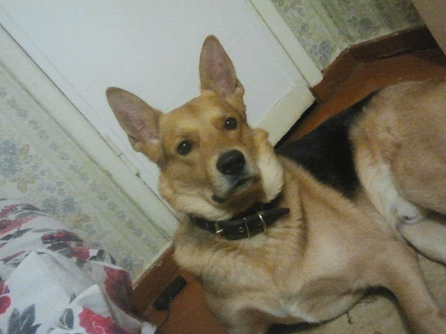 178 - оригинал