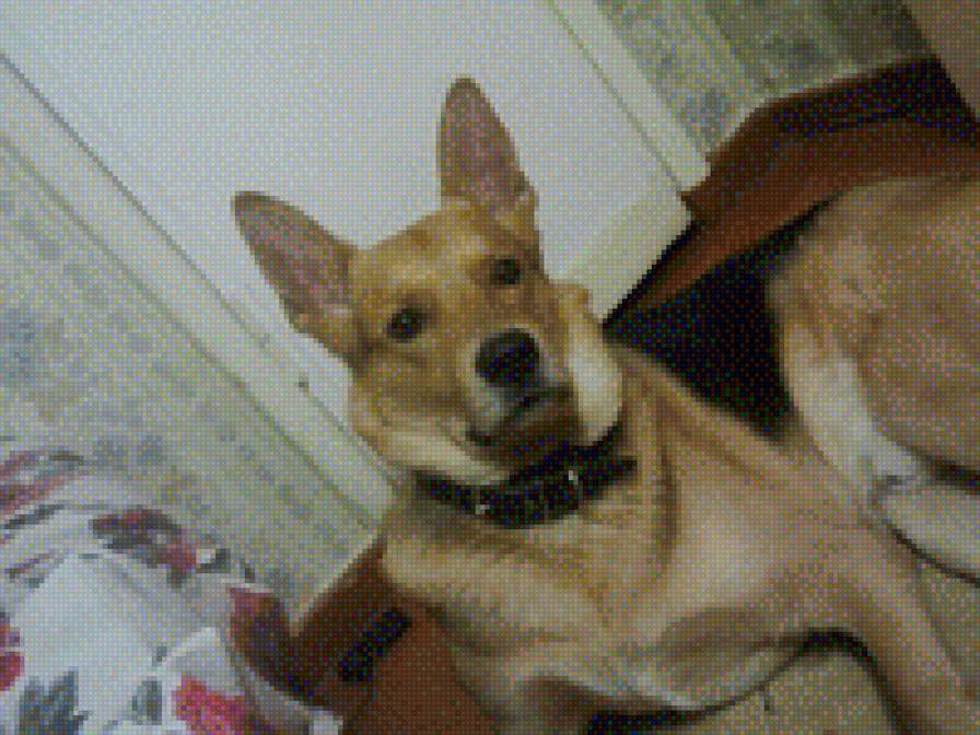 178 - предпросмотр