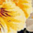 Предпросмотр схемы вышивки «цветы» (№1122759)