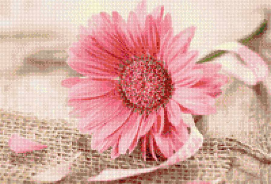 гербера на ткани - цветы, розовые, герберы - предпросмотр