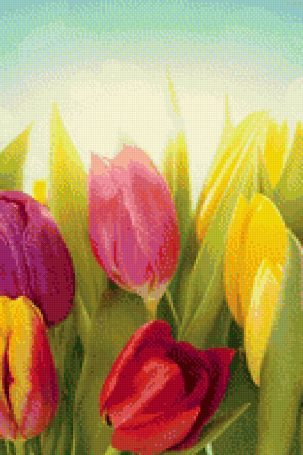 тюльпаны - разноцветные, цветы, тюльпаны - предпросмотр