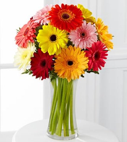 герберы5 - разноцветные, в вазе, герберы, ваза, цветы - оригинал