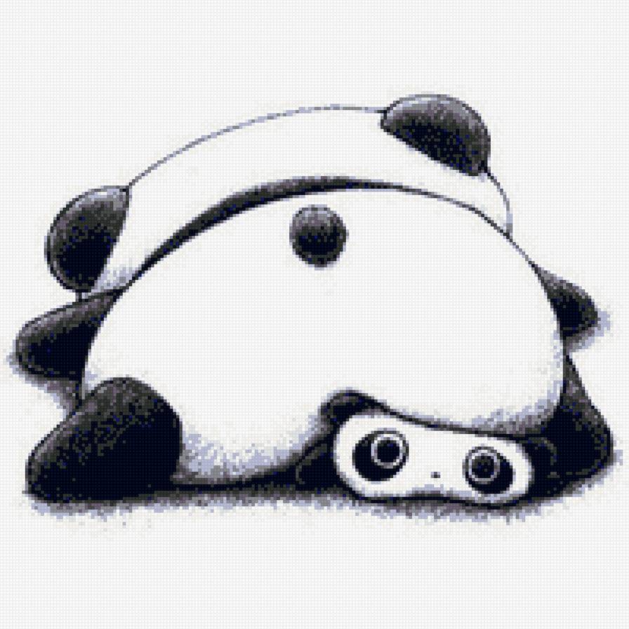 панды - панды, черно-белые, монохром, панда - предпросмотр