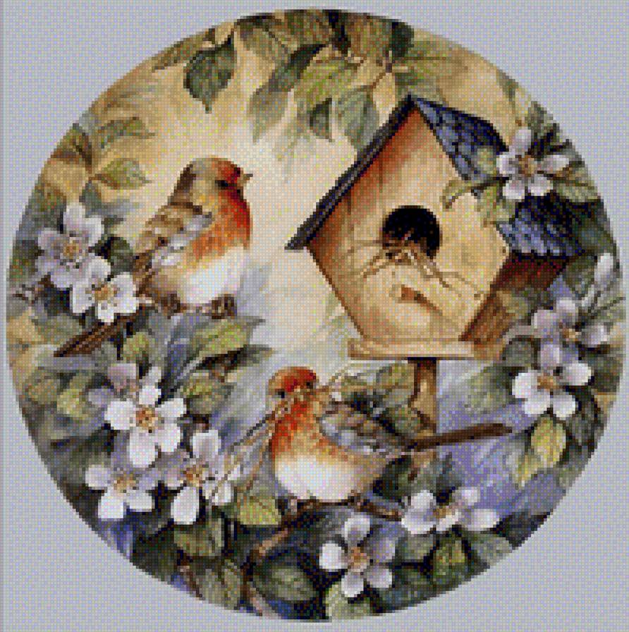 птицы - предпросмотр