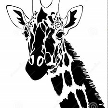 Оригинал схемы вышивки «жираф» (№1123520)