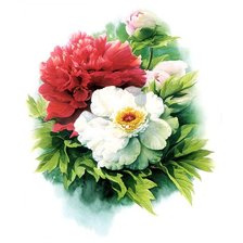 Схема вышивки «пионы»