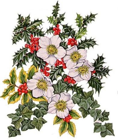 цветы - оригинал