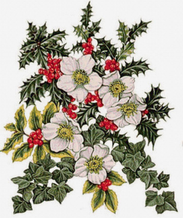 цветы - предпросмотр