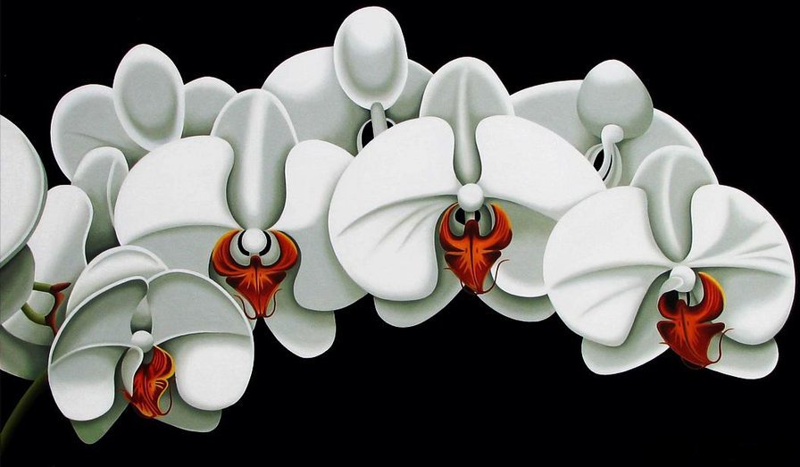 Орхидея - цветы, цветок - оригинал