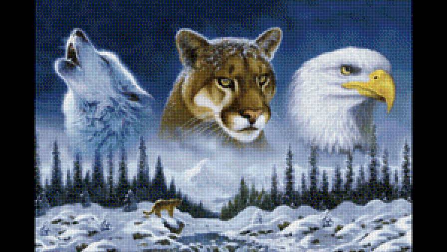 Животные Америки - орел, пума, волк, хищники - предпросмотр