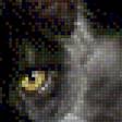 Предпросмотр схемы вышивки «Черный мейн-кун» (№1124464)