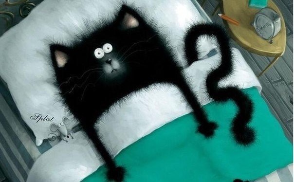 Кот в постели 2 - оригинал