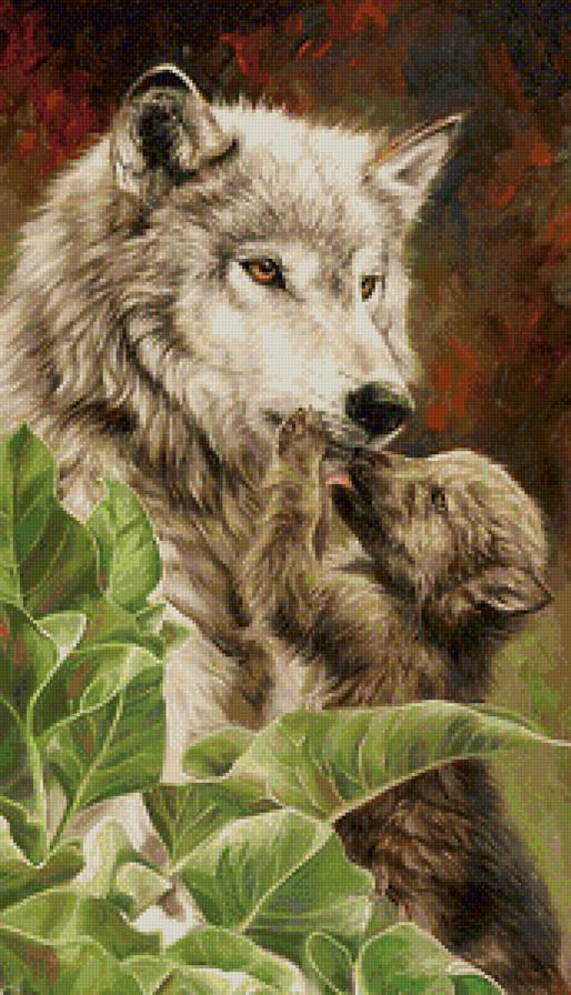 волки - предпросмотр