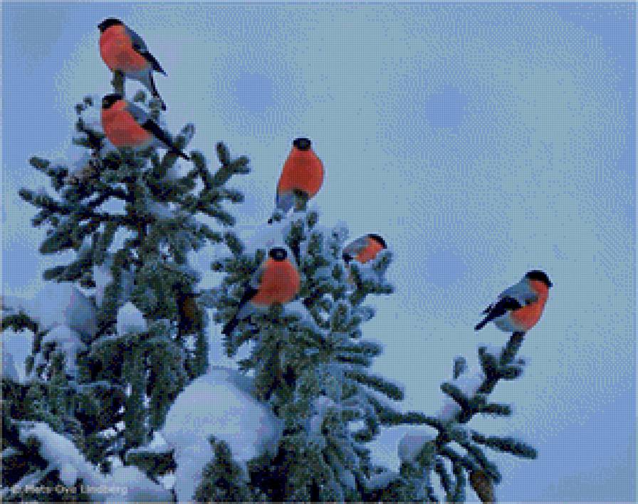 №1126448 - предпросмотр