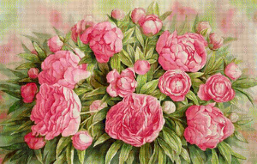 Пионы - пион, цветок, букет, цветы - предпросмотр