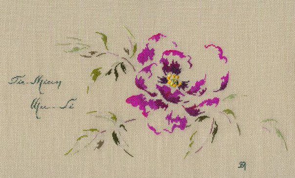 Контур пиона - пион - оригинал