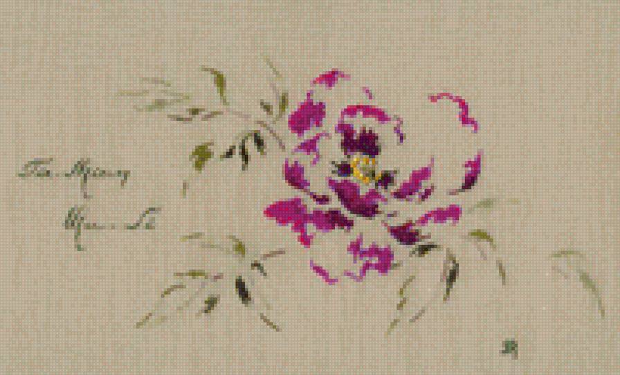 Контур пиона - пион - предпросмотр