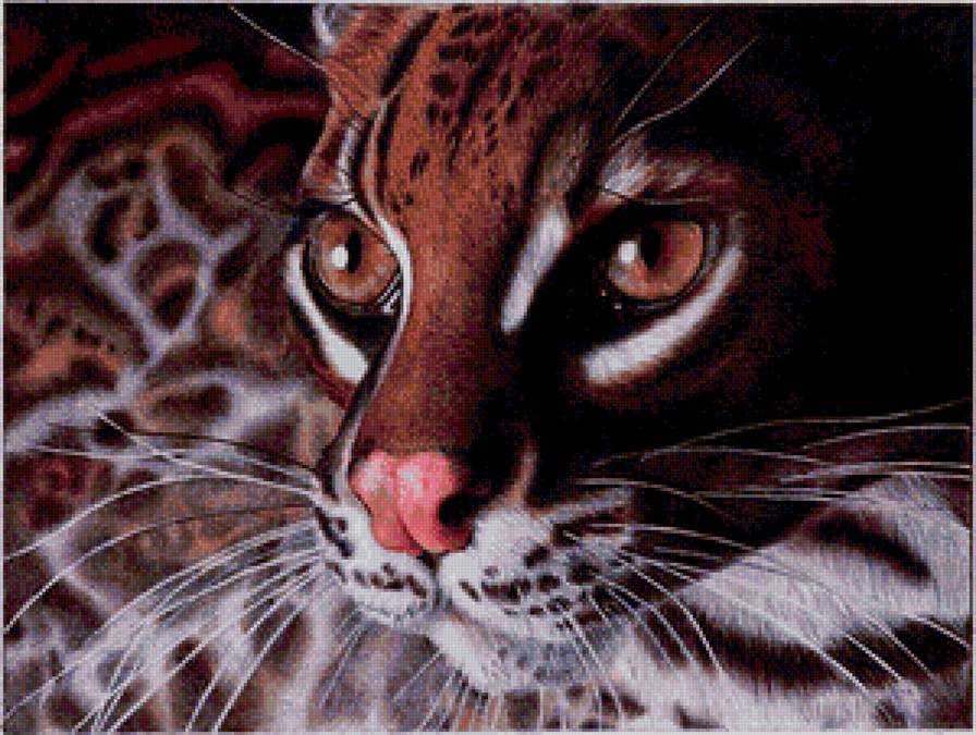 Дикая кошка - животные, кошки - предпросмотр