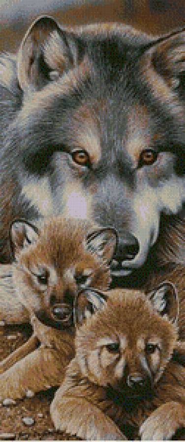 волки - предпросмотр