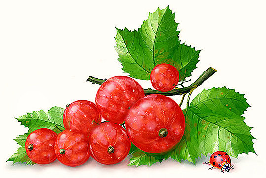 24 - оригинал