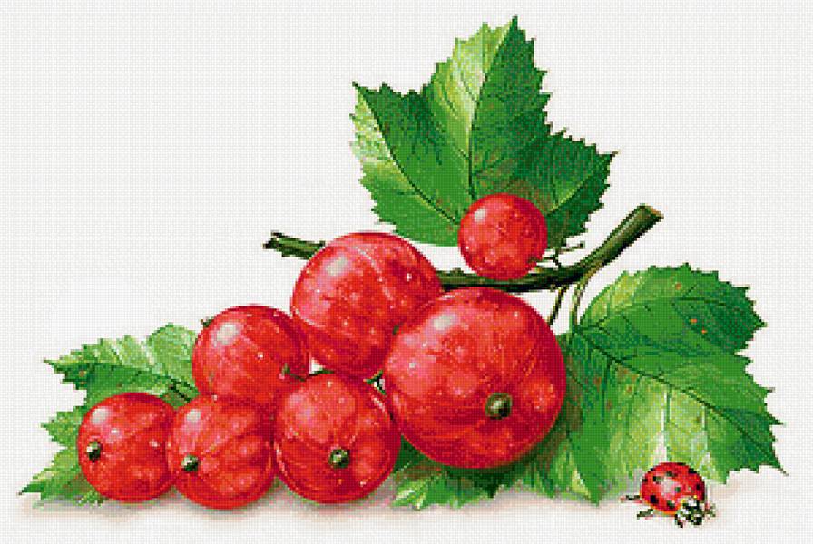 24 - предпросмотр