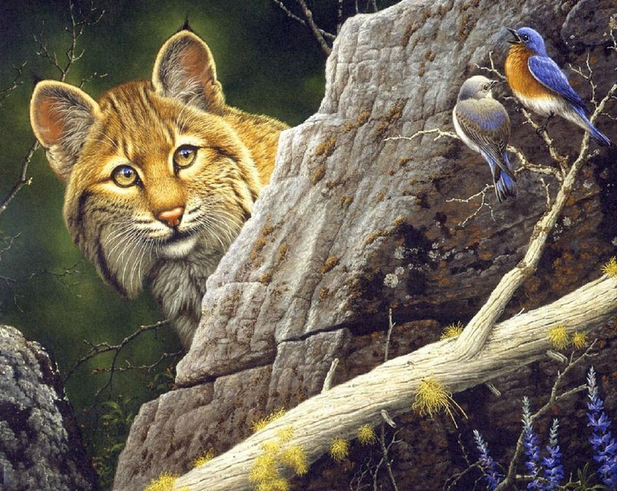 Рысь и синички - птицы, рысь, синички, животные, природа - оригинал